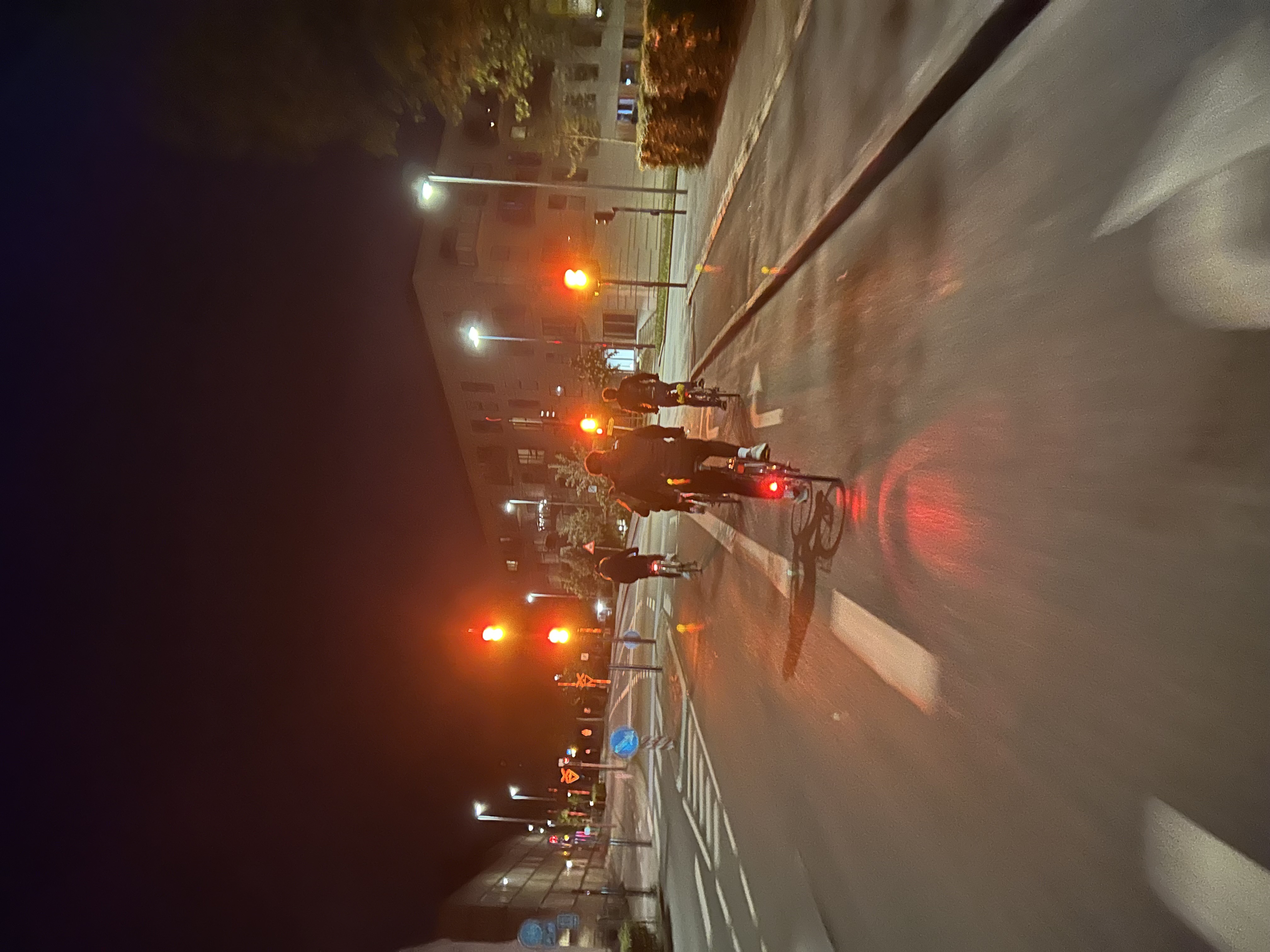 IMG_4782.jpeg