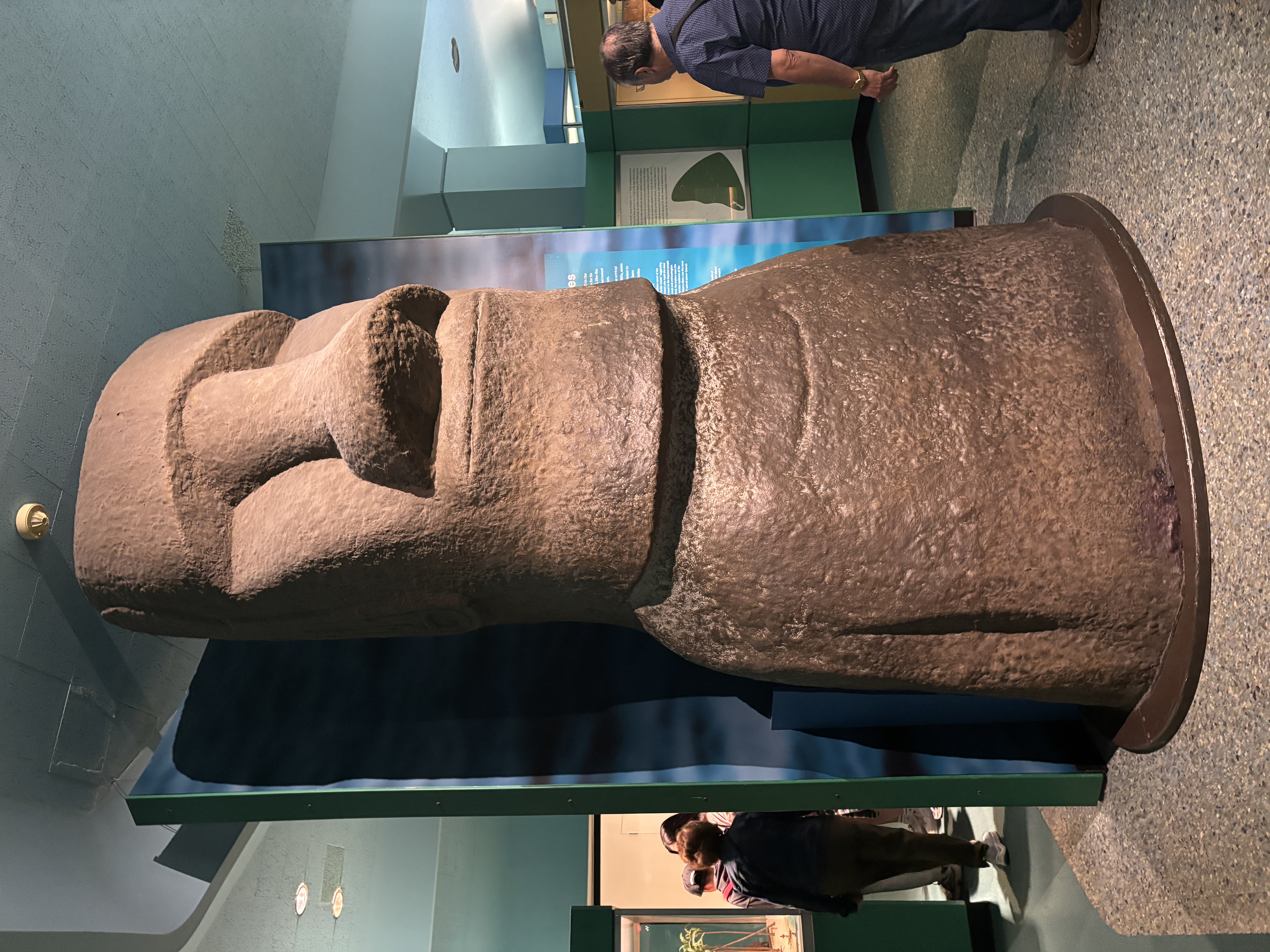 IMG_3022.jpeg