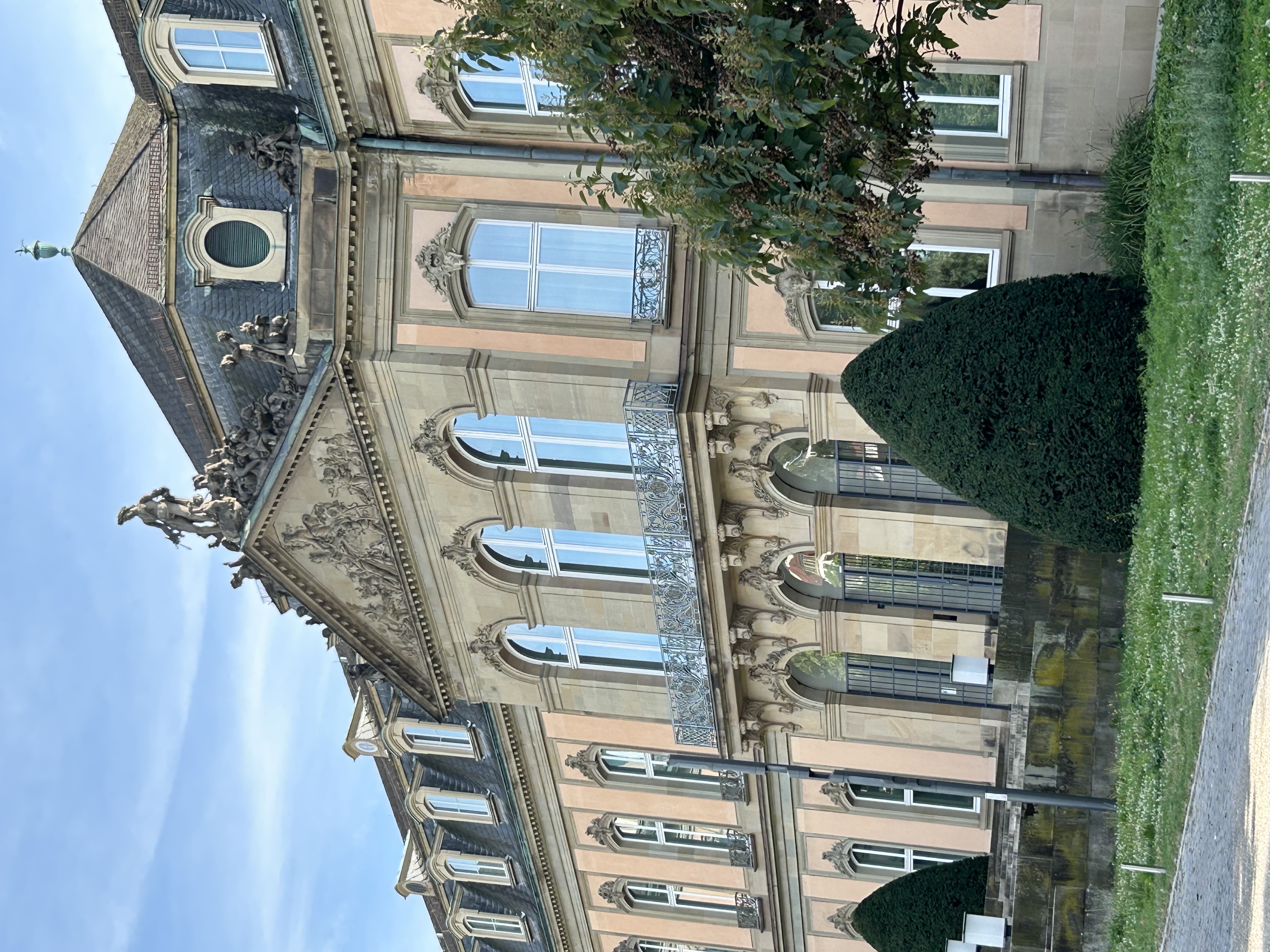 IMG_5155.jpeg