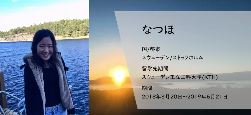 どぼじょの宅急便